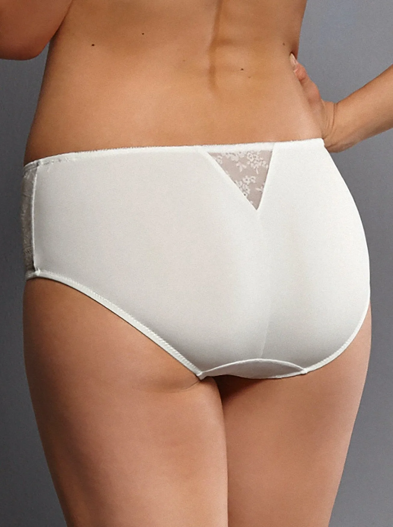 Anita Fleur High Waist Brief- Crystal