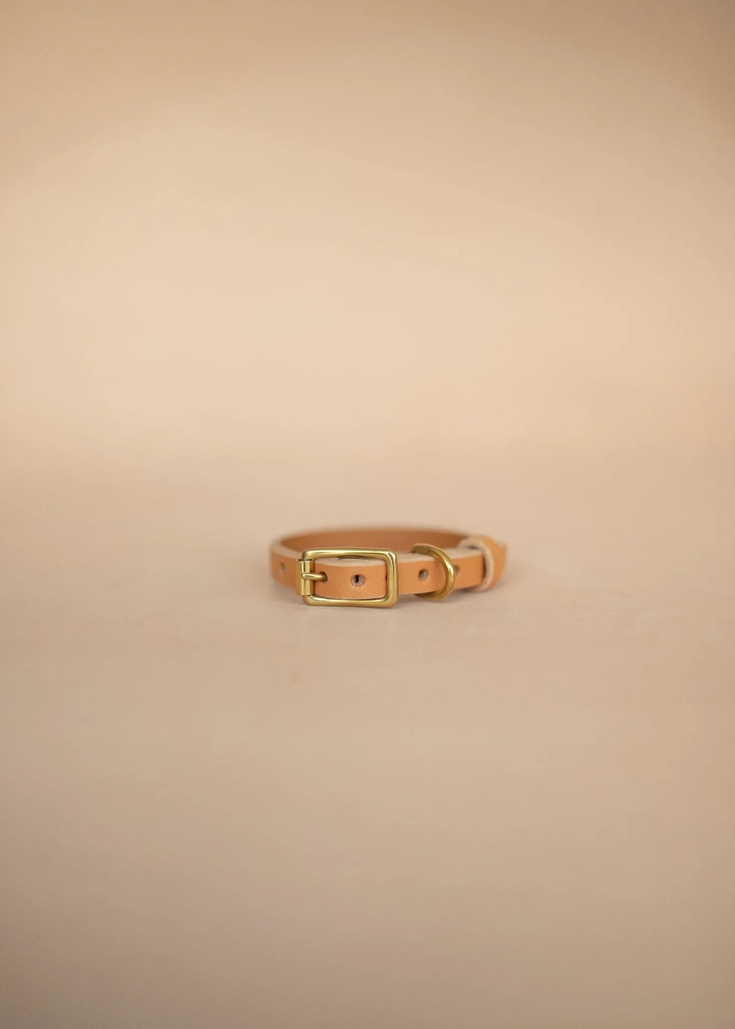 Classic Dog Collar - 12mm - Natural