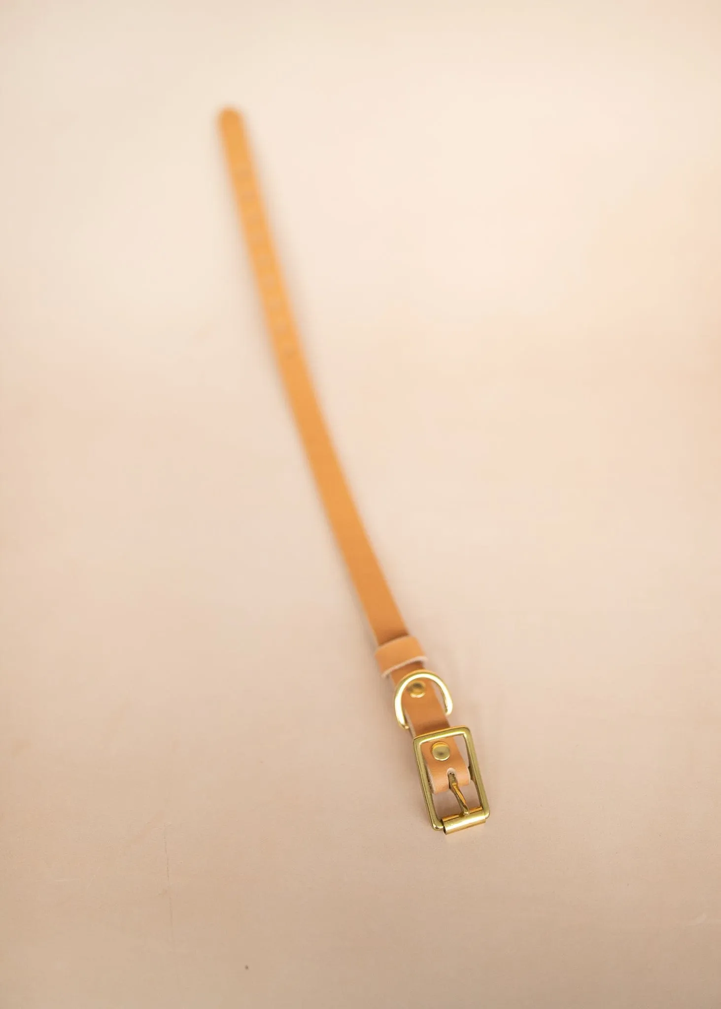 Classic Dog Collar - 12mm - Natural
