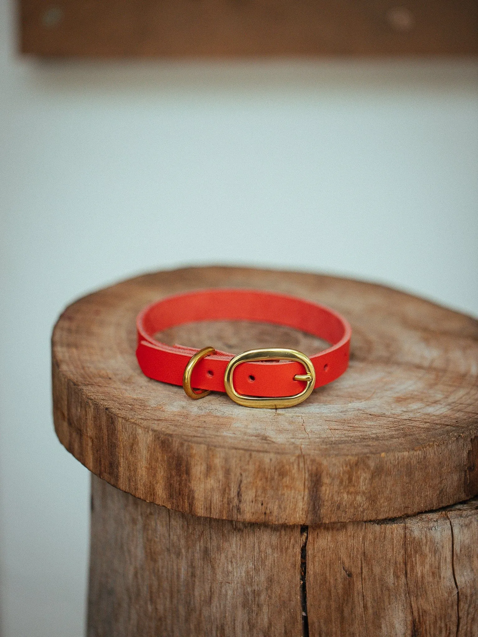 Classic Dog Collar - 12mm - Red