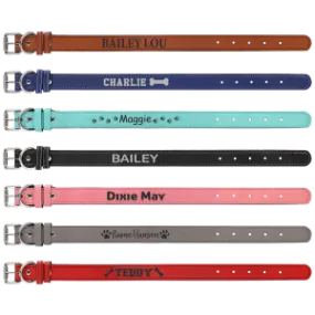 Dog Collar
