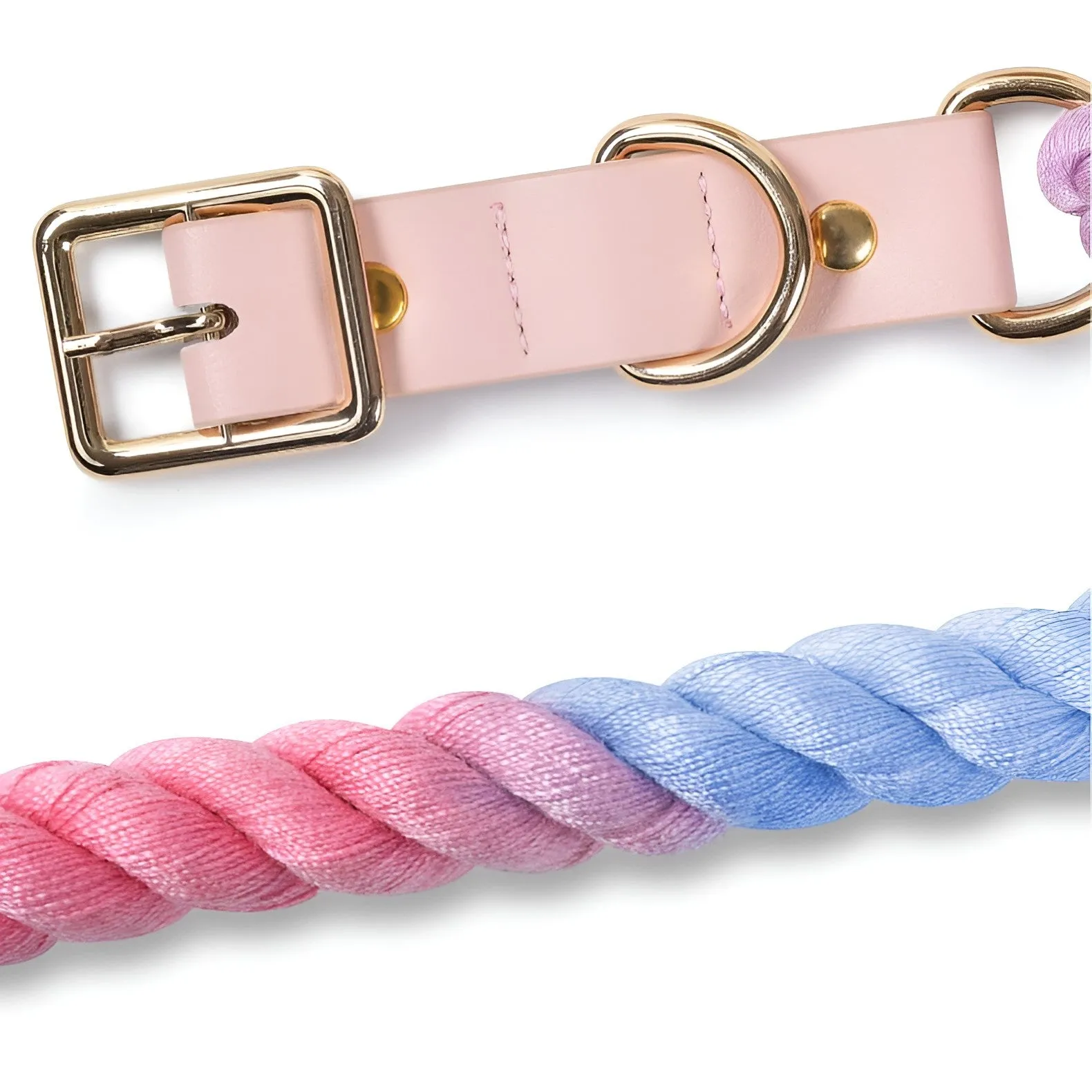 Loofie Colorful Dog Collar & Leash - Environmentally Friendly & Durable