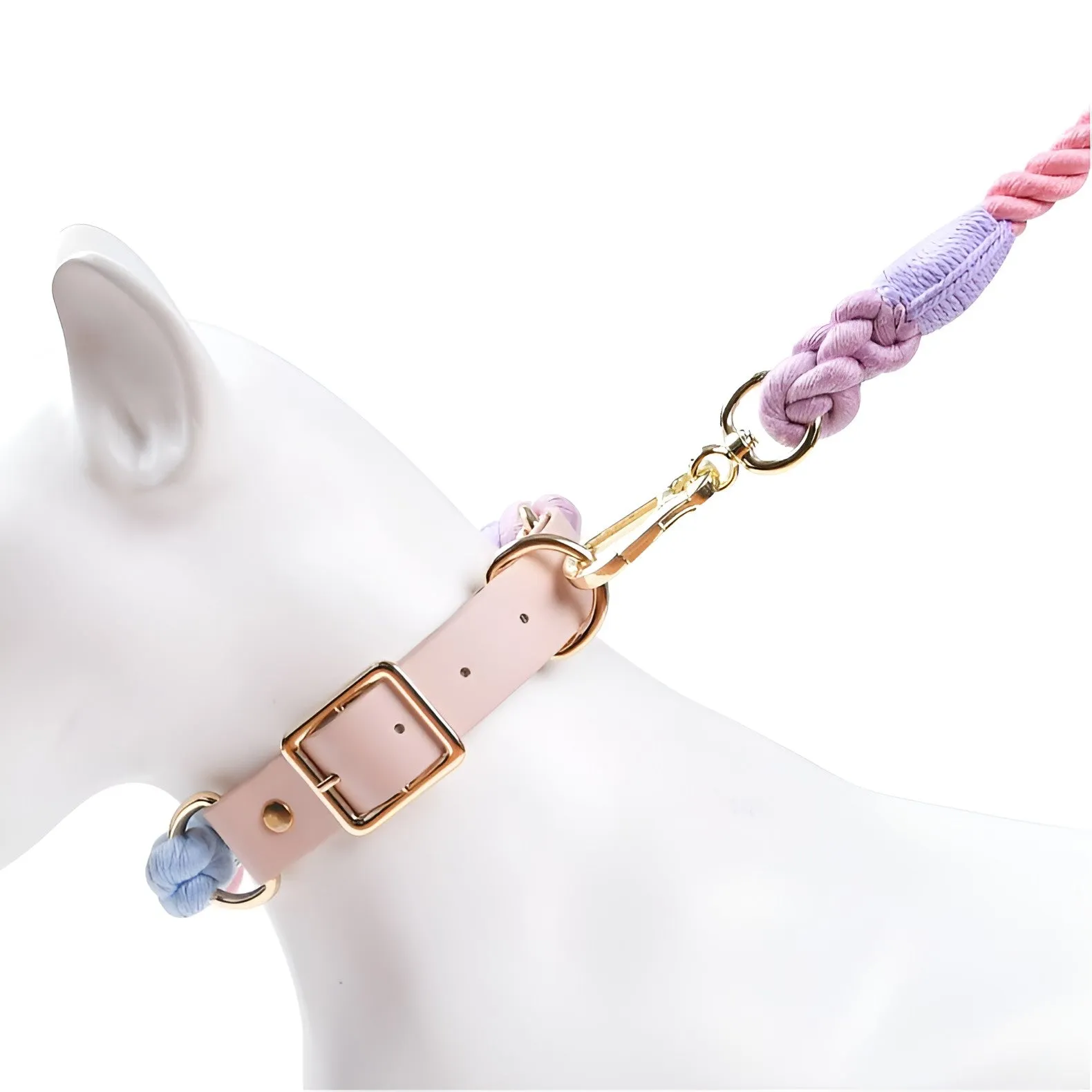Loofie Colorful Dog Collar & Leash - Environmentally Friendly & Durable