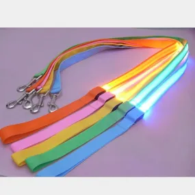 Pet Visible, Night Safety Leash