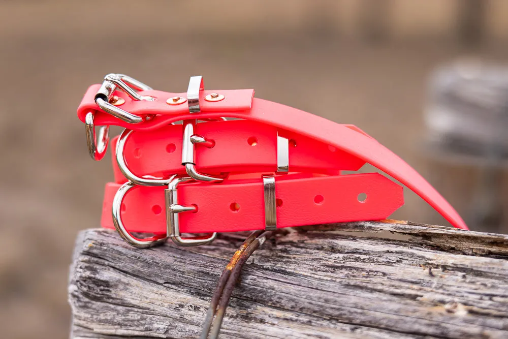 Pup Collar PVC 25mm - Fluro Pink